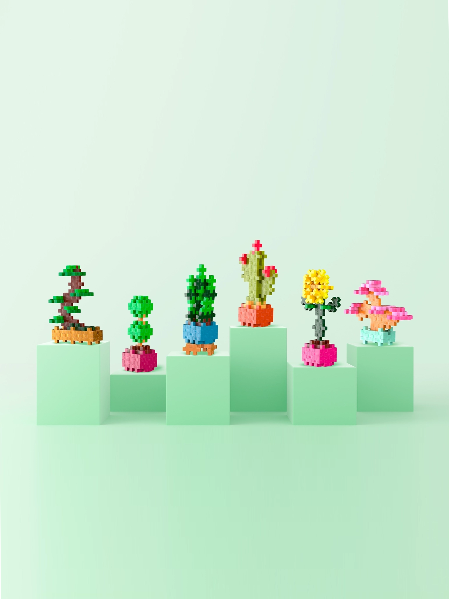 Plante - Bonuspakke